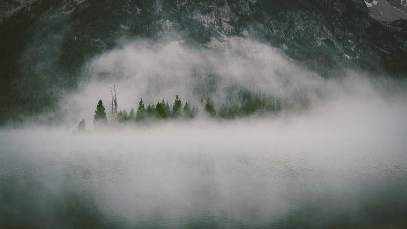 lutube娜娜娜娜轻量版在线观看界面展示